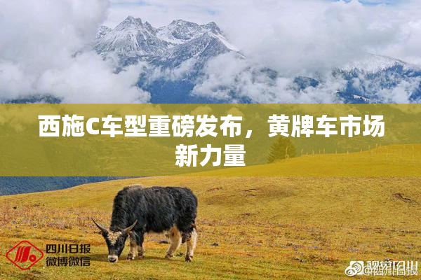西施C车型重磅发布，黄牌车市场新力量