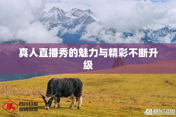 真人直播秀的魅力与精彩不断升级