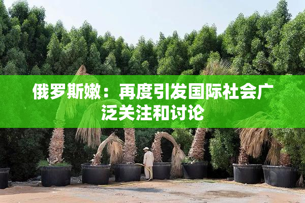 俄罗斯嫩：再度引发国际社会广泛关注和讨论