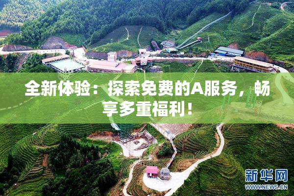 全新体验：探索免费的A服务，畅享多重福利！