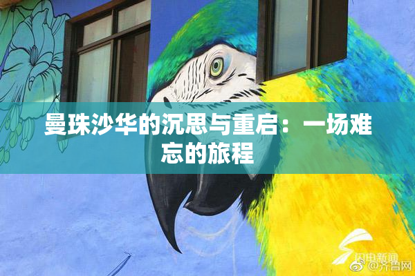 曼珠沙华的沉思与重启：一场难忘的旅程