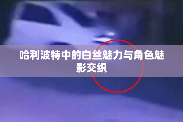 哈利波特中的白丝魅力与角色魅影交织