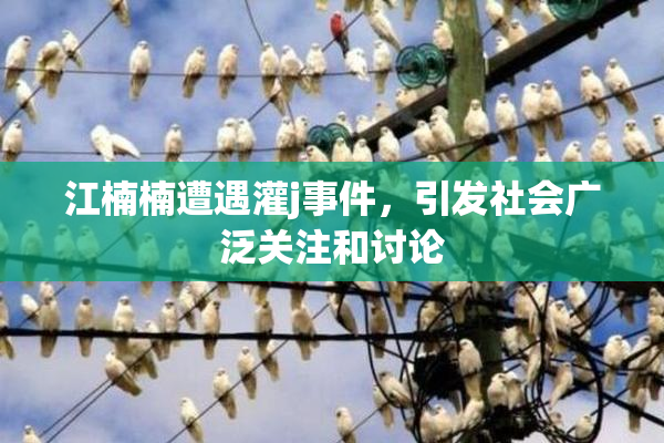 江楠楠遭遇灌j事件，引发社会广泛关注和讨论