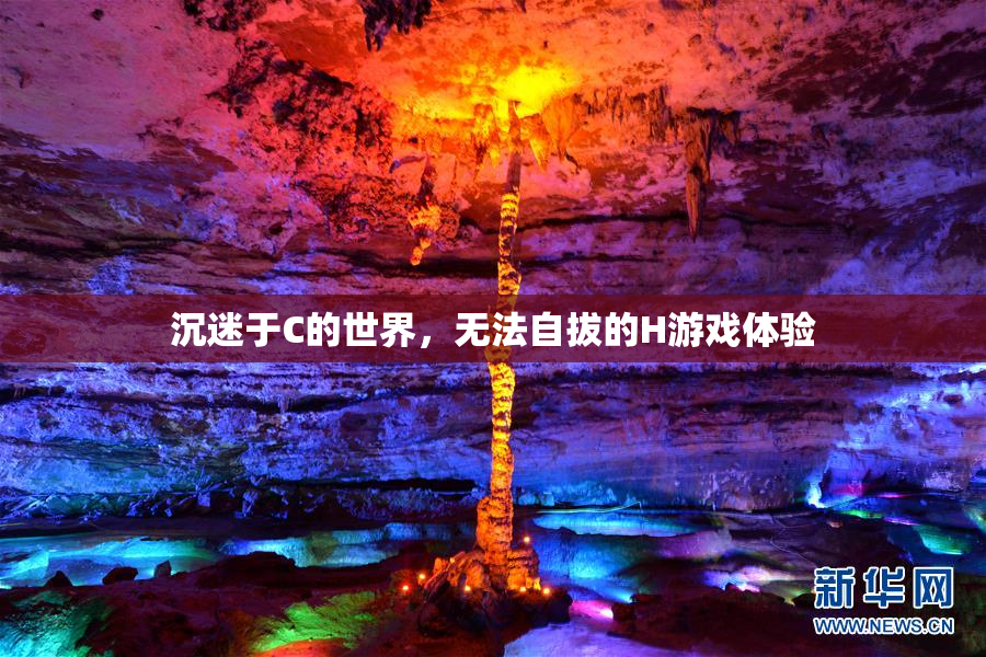 沉迷于C的世界，无法自拔的H游戏体验
