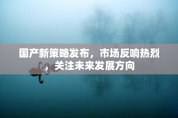 国产新策略发布，市场反响热烈，关注未来发展方向