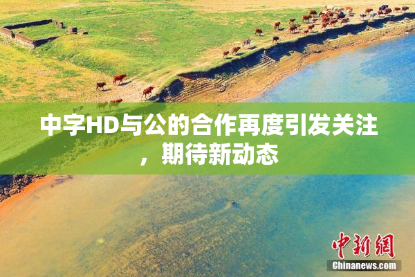中字HD与公的合作再度引发关注，期待新动态