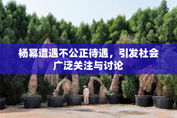 杨幂遭遇不公正待遇，引发社会广泛关注与讨论