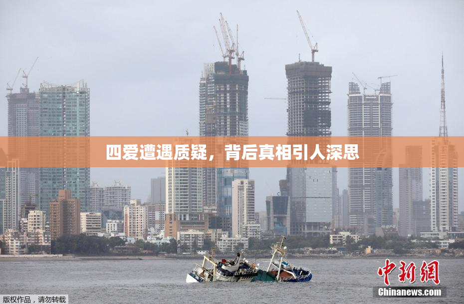 四爱遭遇质疑，背后真相引人深思