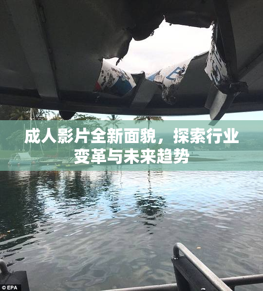 成人影片全新面貌，探索行业变革与未来趋势