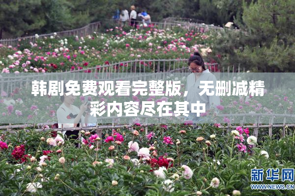 韩剧免费观看完整版，无删减精彩内容尽在其中