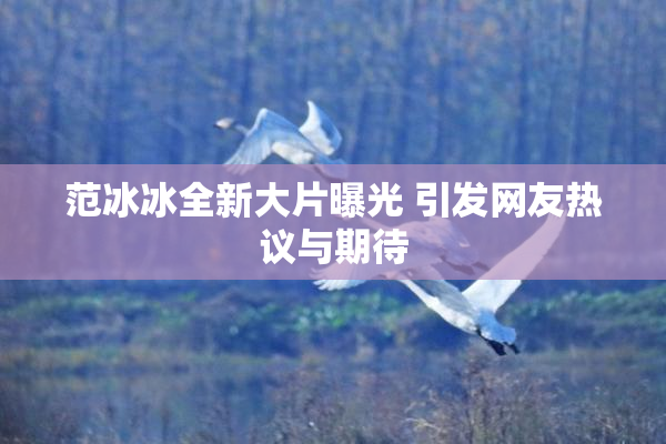 范冰冰全新大片曝光 引发网友热议与期待