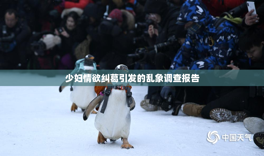 少妇情欲纠葛引发的乱象调查报告