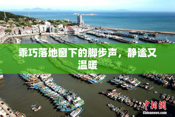 乖巧落地窗下的脚步声，静谧又温暖