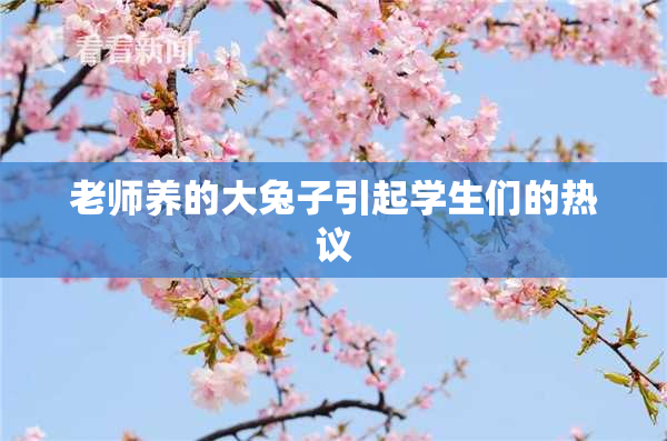 老师养的大兔子引起学生们的热议