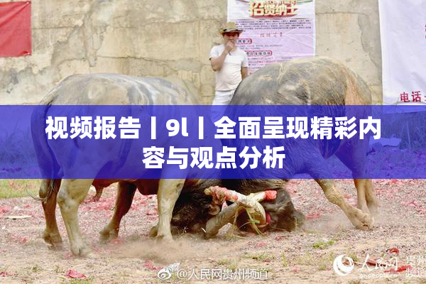 视频报告丨9l丨全面呈现精彩内容与观点分析