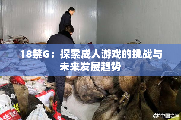 18禁G：探索成人游戏的挑战与未来发展趋势