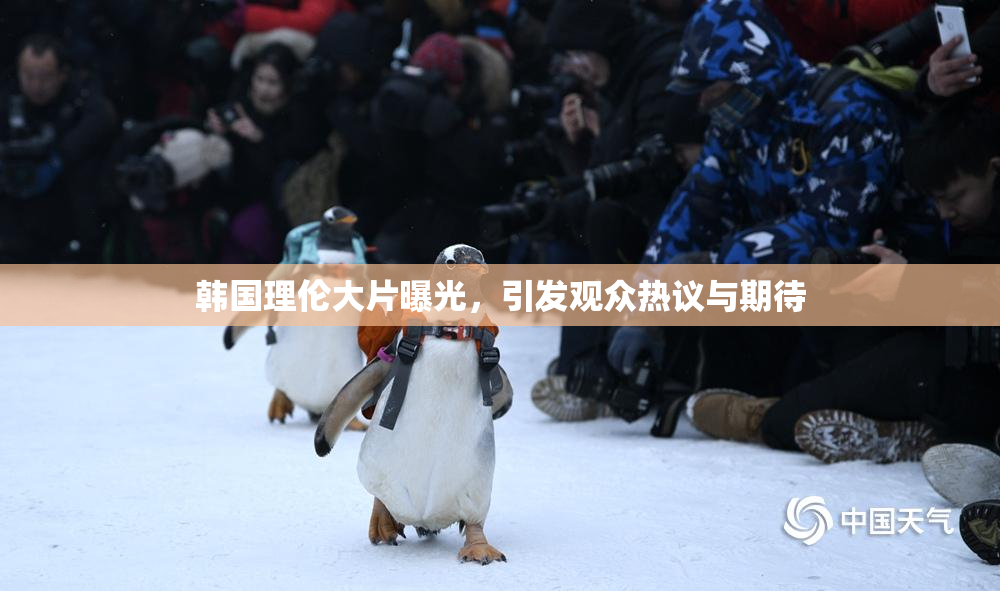 韩国理伦大片曝光，引发观众热议与期待