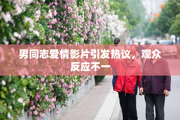 男同志爱情影片引发热议，观众反应不一