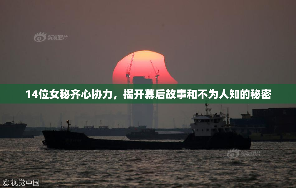 14位女秘齐心协力，揭开幕后故事和不为人知的秘密