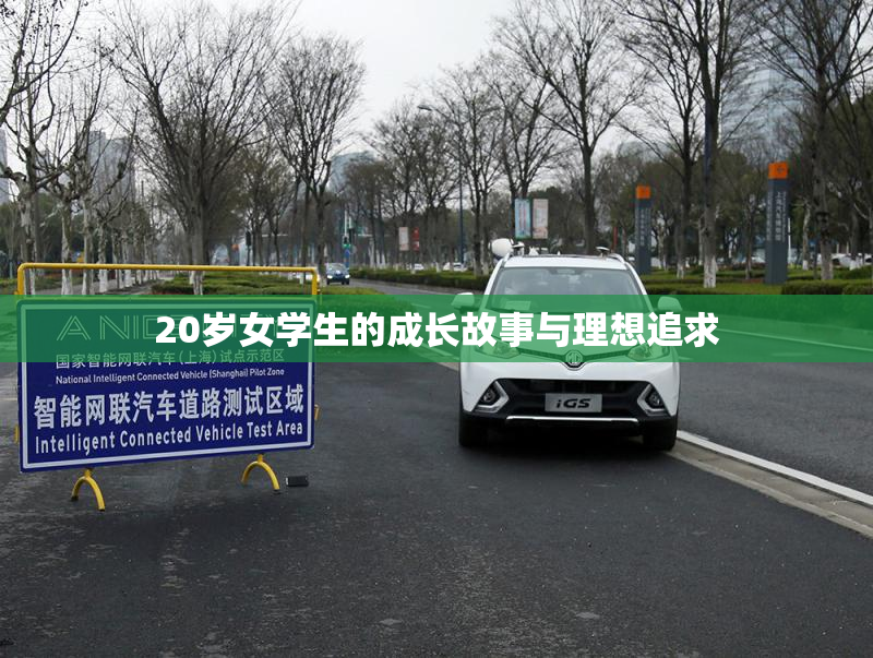 20岁女学生的成长故事与理想追求