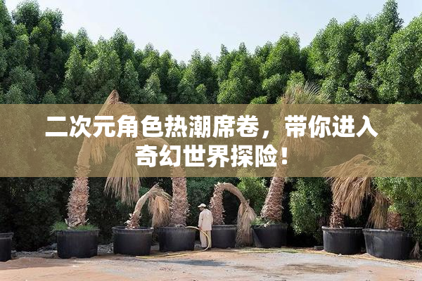 二次元角色热潮席卷，带你进入奇幻世界探险！