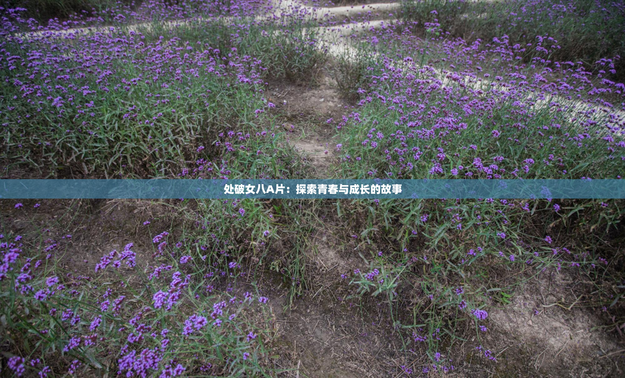 处破女八A片：探索青春与成长的故事