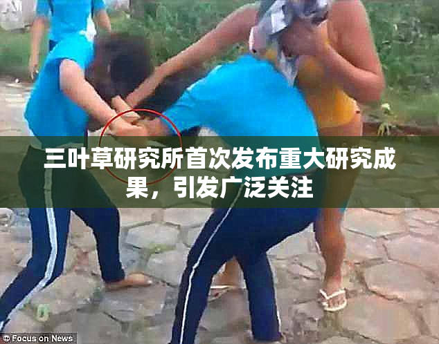 三叶草研究所首次发布重大研究成果，引发广泛关注