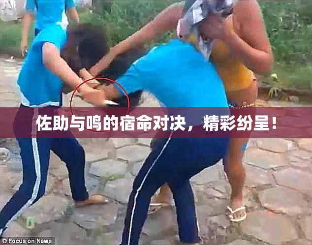 佐助与鸣的宿命对决，精彩纷呈！