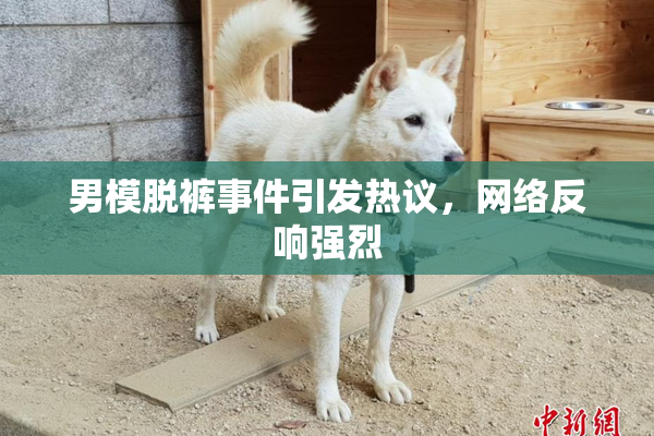 男模脱裤事件引发热议，网络反响强烈