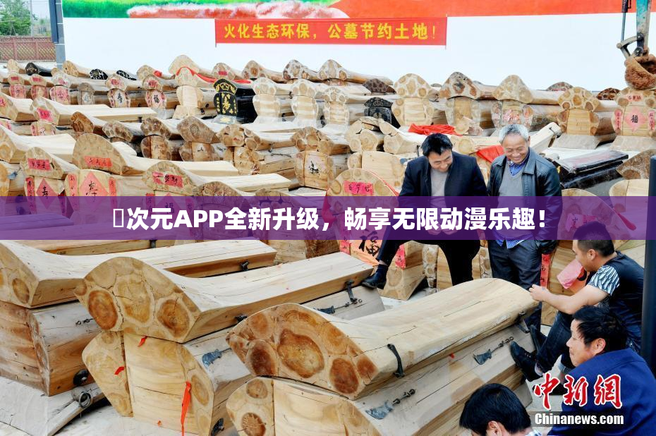 囧次元APP全新升级，畅享无限动漫乐趣！