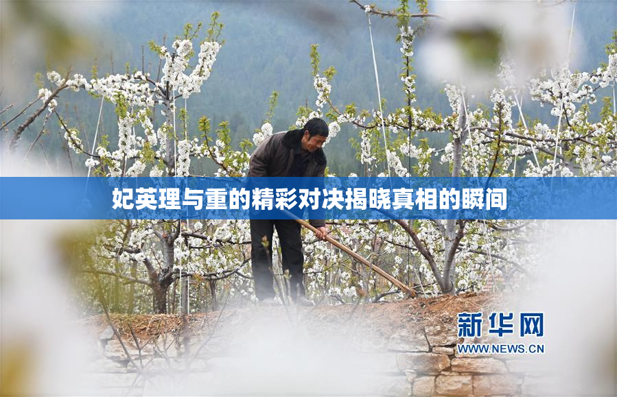 妃英理与重的精彩对决揭晓真相的瞬间
