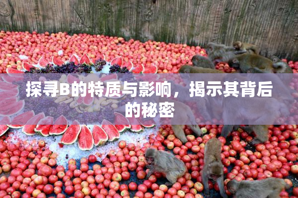 探寻B的特质与影响，揭示其背后的秘密