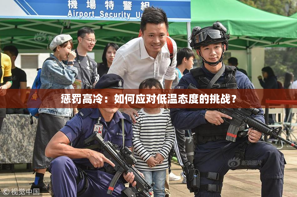 惩罚高冷：如何应对低温态度的挑战？