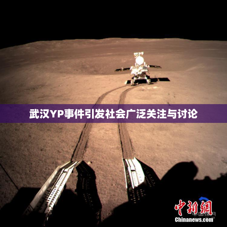 武汉YP事件引发社会广泛关注与讨论