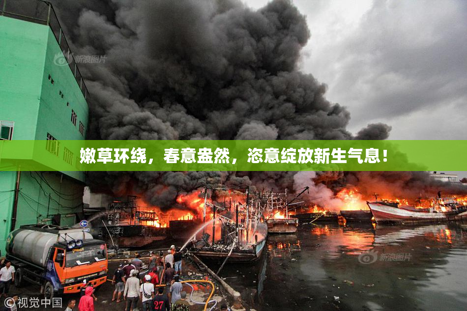 嫩草环绕，春意盎然，恣意绽放新生气息！