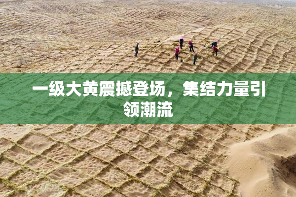 一级大黄震撼登场，集结力量引领潮流