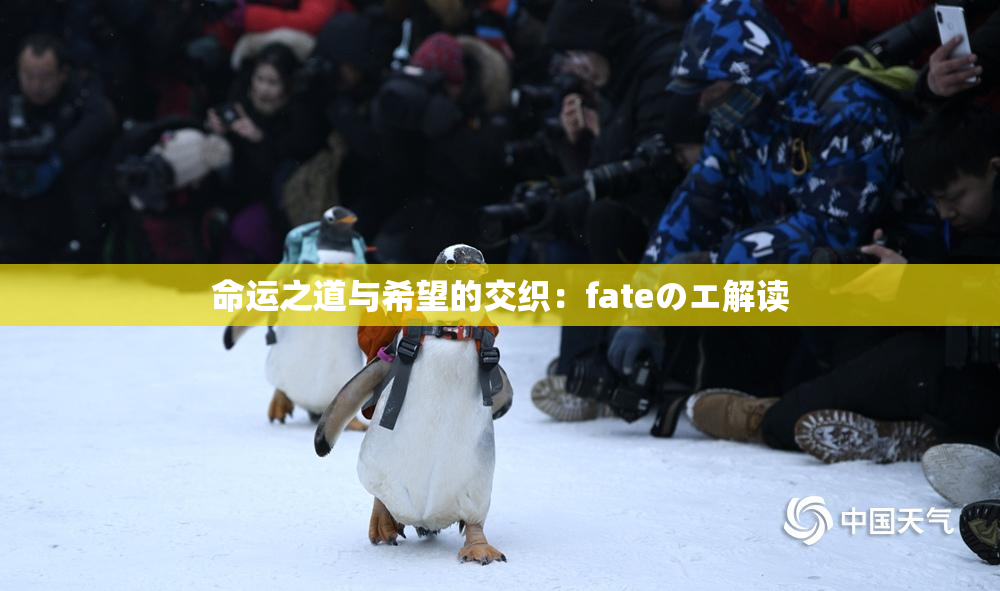 命运之道与希望的交织：fateのエ解读