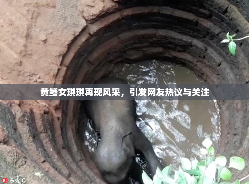 黄鳝女琪琪再现风采，引发网友热议与关注