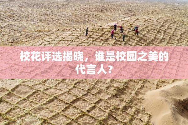 校花评选揭晓，谁是校园之美的代言人？