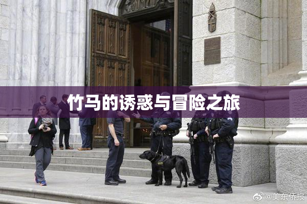 竹马的诱惑与冒险之旅