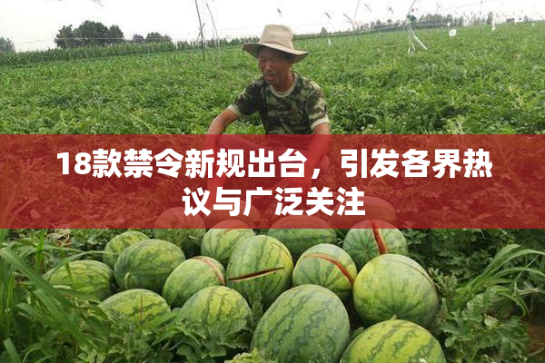 18款禁令新规出台，引发各界热议与广泛关注