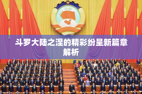 斗罗大陆之涅的精彩纷呈新篇章解析