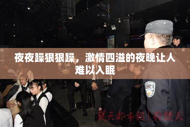 夜夜躁狠狠躁，激情四溢的夜晚让人难以入眠