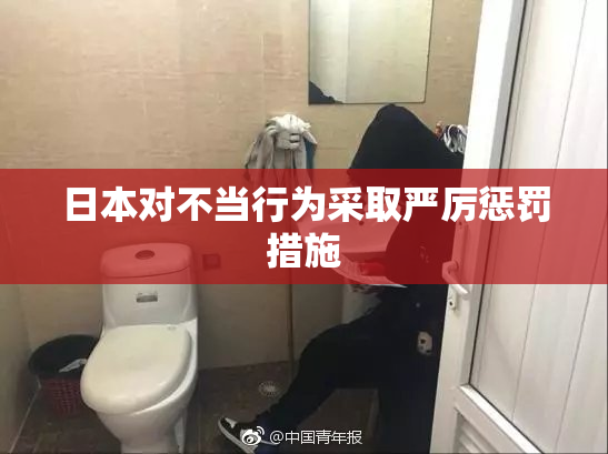 日本对不当行为采取严厉惩罚措施