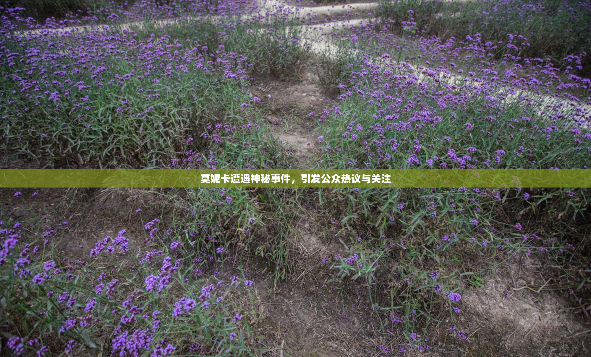 莫妮卡遭遇神秘事件，引发公众热议与关注