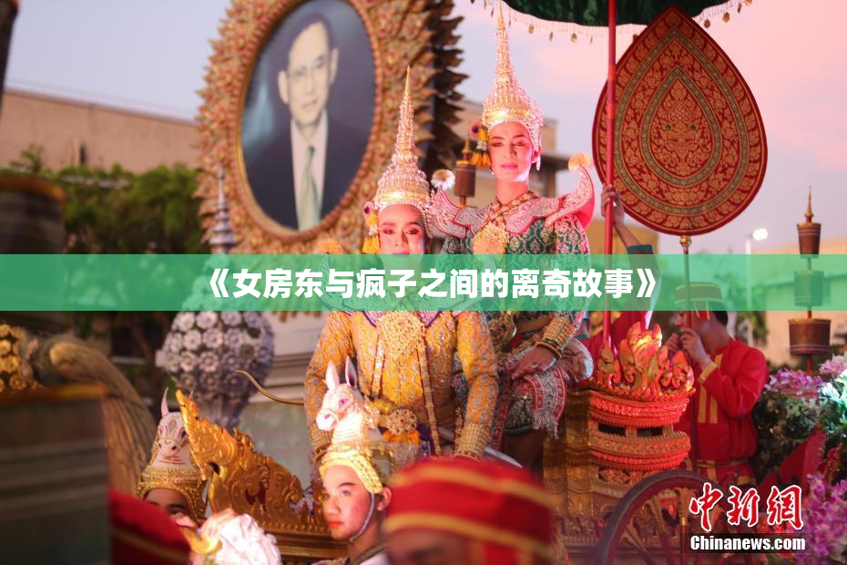 《女房东与疯子之间的离奇故事》