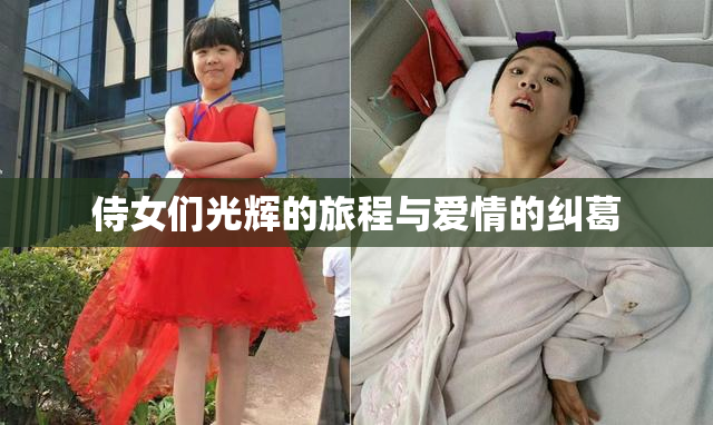 侍女们光辉的旅程与爱情的纠葛