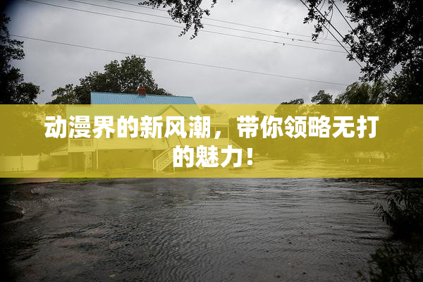 动漫界的新风潮，带你领略无打的魅力！