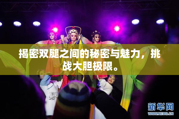 揭密双腿之间的秘密与魅力，挑战大胆极限。