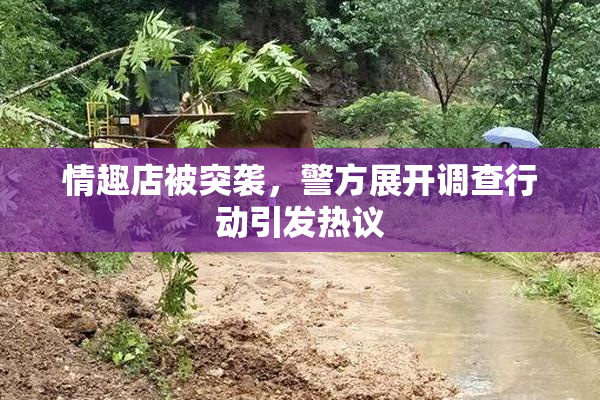 情趣店被突袭，警方展开调查行动引发热议